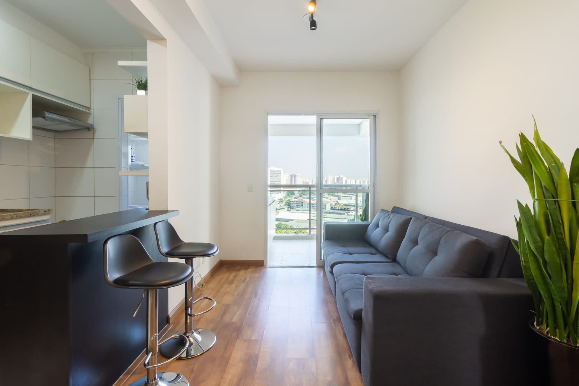 Apartamento à venda, Várzea da Barra Funda, São Paulo, SP - Foto 1