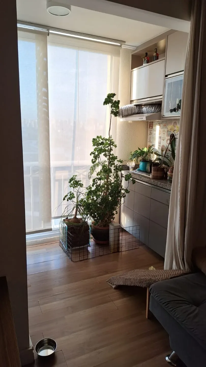 Apartamento 3 quartos no Água Branca, São Paulo - Foto 7