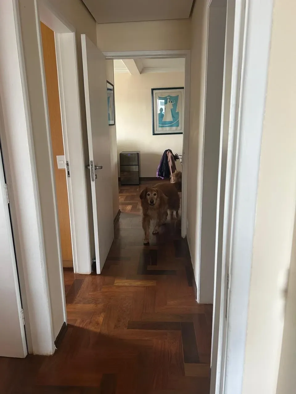 Apartamento 3 quartos na Vila Clementino, São Paulo - Foto 5