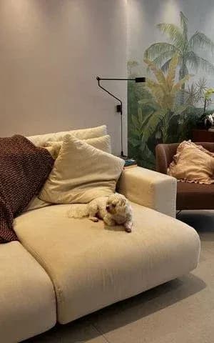 Apartamento 3 quartos no Indianópolis, São Paulo - Foto 5