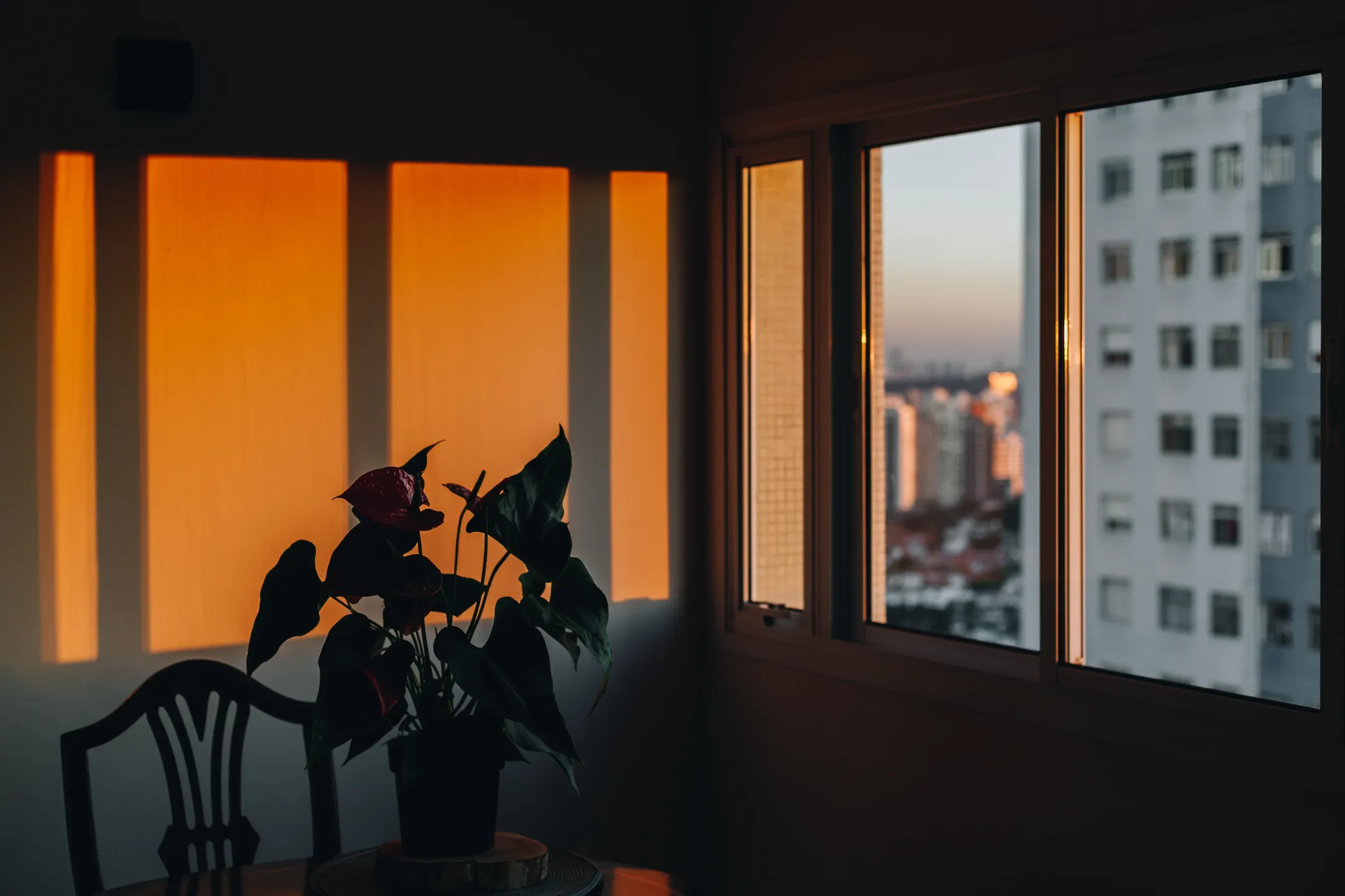 Apartamento 3 quartos no Sumarezinho, São Paulo - Foto 3